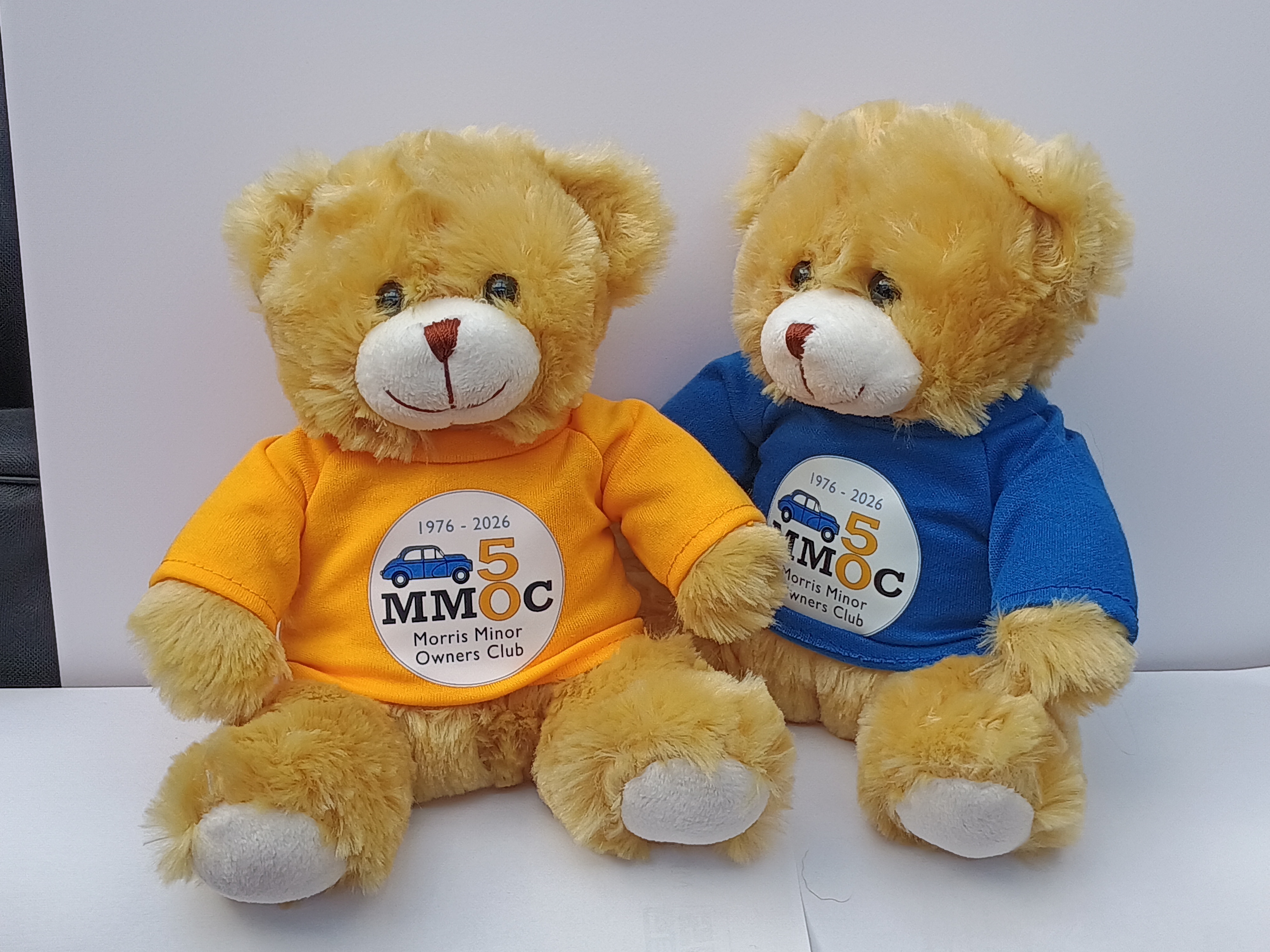 50th Anniversary Teddy