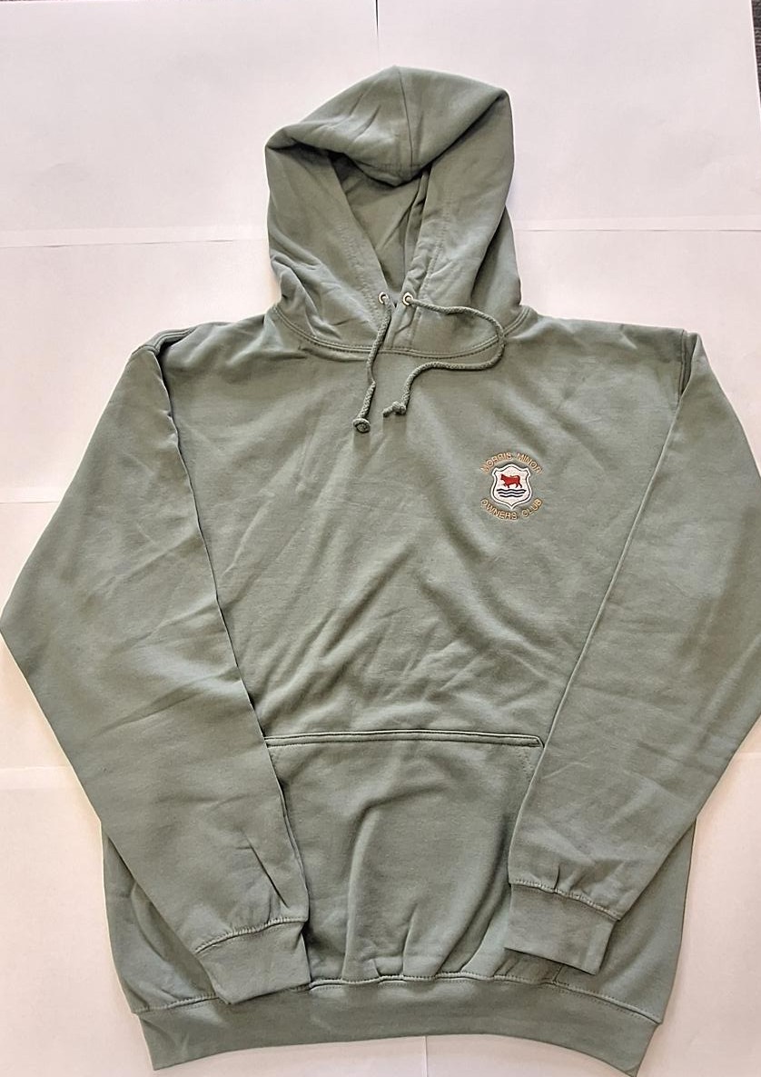 Dusty Green Hoodie